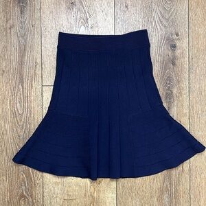 Sandro Navy Blue Fit and Flare Mini Skirt RTM